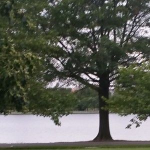 Meet your Posher, Posh